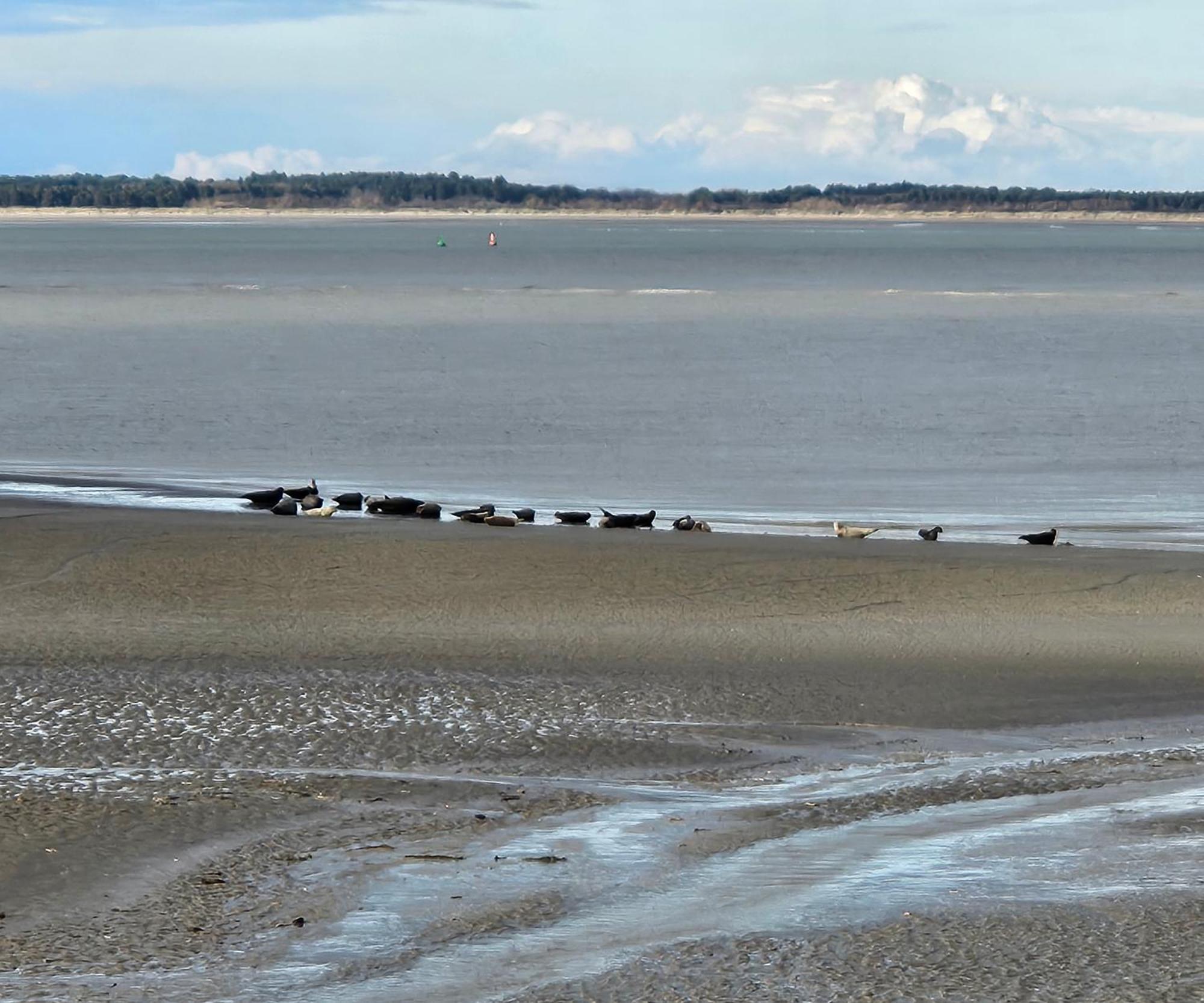 L'Instant Bed & Breakfast Cayeux-sur-Mer Exterior foto